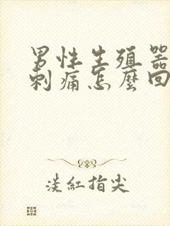 男性生殖器有点刺痛怎么回事