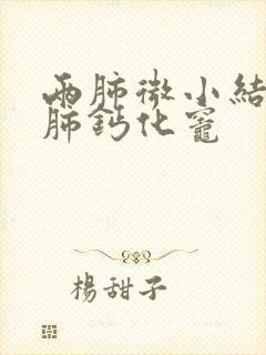 两肺微小结节左肺钙化灶