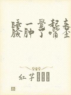 睡一觉起来半边脸肿了嘴歪了封面