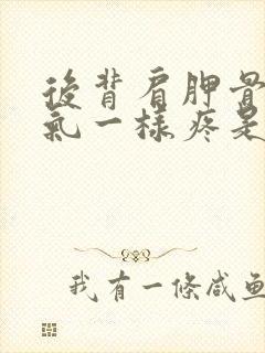 后背肩胛骨跟岔气一样疼是怎么了