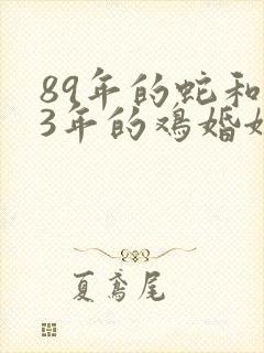 89年的蛇和93年的鸡婚姻封面