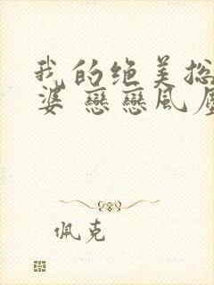 我的绝美总裁老婆 恋恋风尘封面