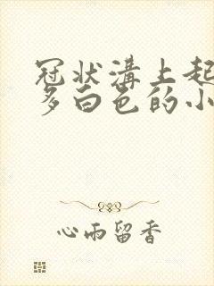 冠状沟上起了很多白色的小疙瘩