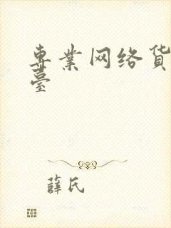 专业网络货运平台