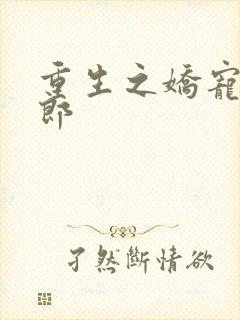 重生之娇宠小夫郎