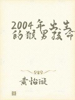 2004年出生的猴男孩命运怎么样