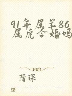 91年属羊86属虎合婚吗