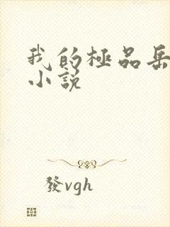 我的极品岳母 小说