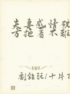 夫妻感情破裂一方拖着不离怎么办封面