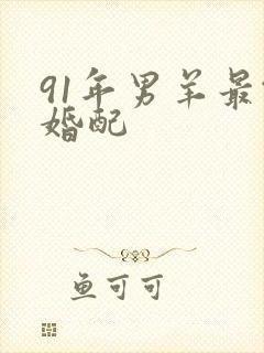 91年男羊最佳婚配