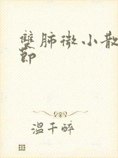 双肺微小散在结节