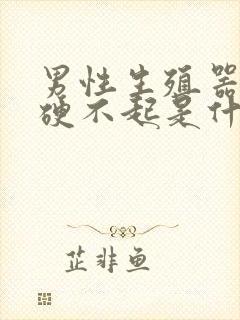 男性生殖器突然硬不起是什么原因