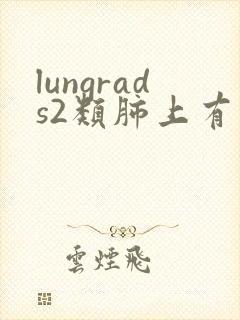 lungrads2类肺上有结节