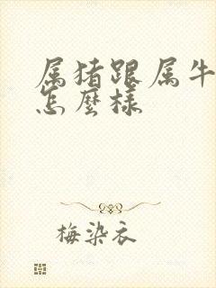 属猪跟属牛姻缘怎么样