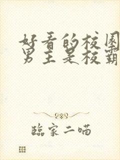 好看的校园小说男主是校霸