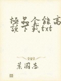 极品全能高手小说下载txt