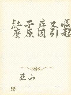 肚子疼又呕吐什么原因引起的