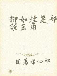 柳如烟是哪部小说主角