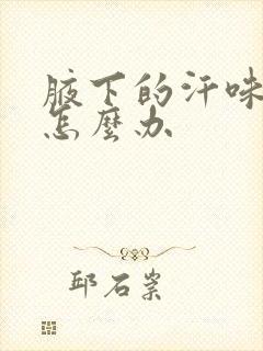 腋下的汗味很重怎么办封面