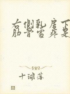 右侧乳房下边缘肋骨处疼是怎么回事