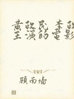 黄政民 李政宰主演的电影封面