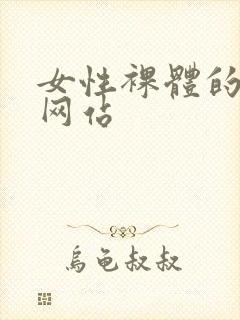 女性裸体的视频网站