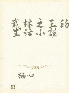 武林之王的退隐生活小说