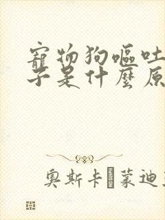 宠物狗呕吐拉肚子是什么原因