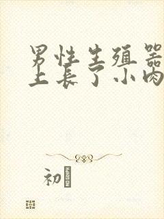 男性生殖器上面上长了小肉粒封面