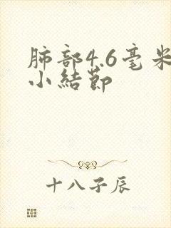 肺部4.6毫米小结节