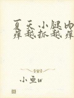 夏天小腿内侧痒痒越抓越痒有小红疙瘩封面