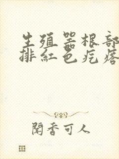 生殖器根部有一排红色疙瘩