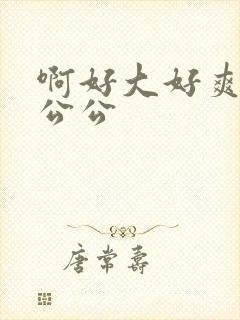 啊好大好爽用力公公