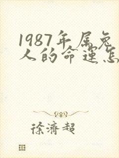 1987年属兔人的命运怎么样封面