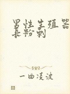 男性生殖器上面长粉刺