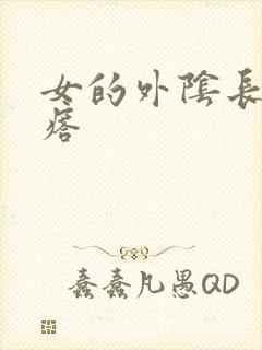 女的外阴长火疙瘩