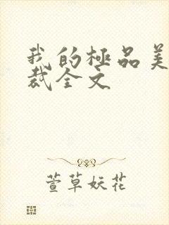 我的极品美女总裁全文封面