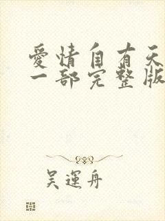 爱情自有天意第一部完整版