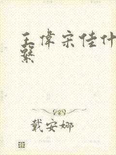 王伟宋佳什么关系