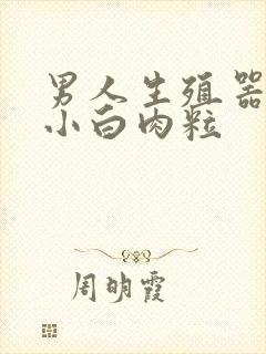 男人生殖器长起小白肉粒