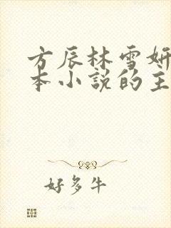 方辰林雪妍是哪本小说的主角封面