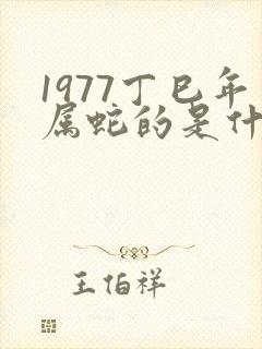 1977丁巳年属蛇的是什么命封面