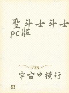 圣斗士斗士之魂pc版