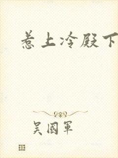 惹上冷殿下评价