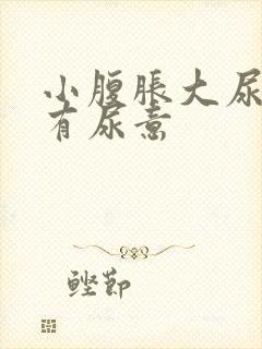 小腹胀大尿急总有尿意