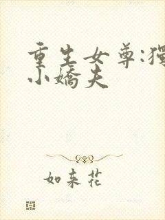 重生女尊:独宠小娇夫
