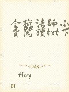 全职法师小说免费阅读txt下载