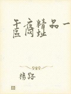 午夜精品一区二区网址封面