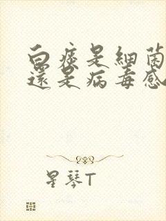 白痰是细菌感染还是病毒感染