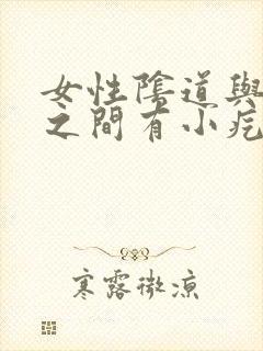 女性阴道与肛门之间有小疙瘩